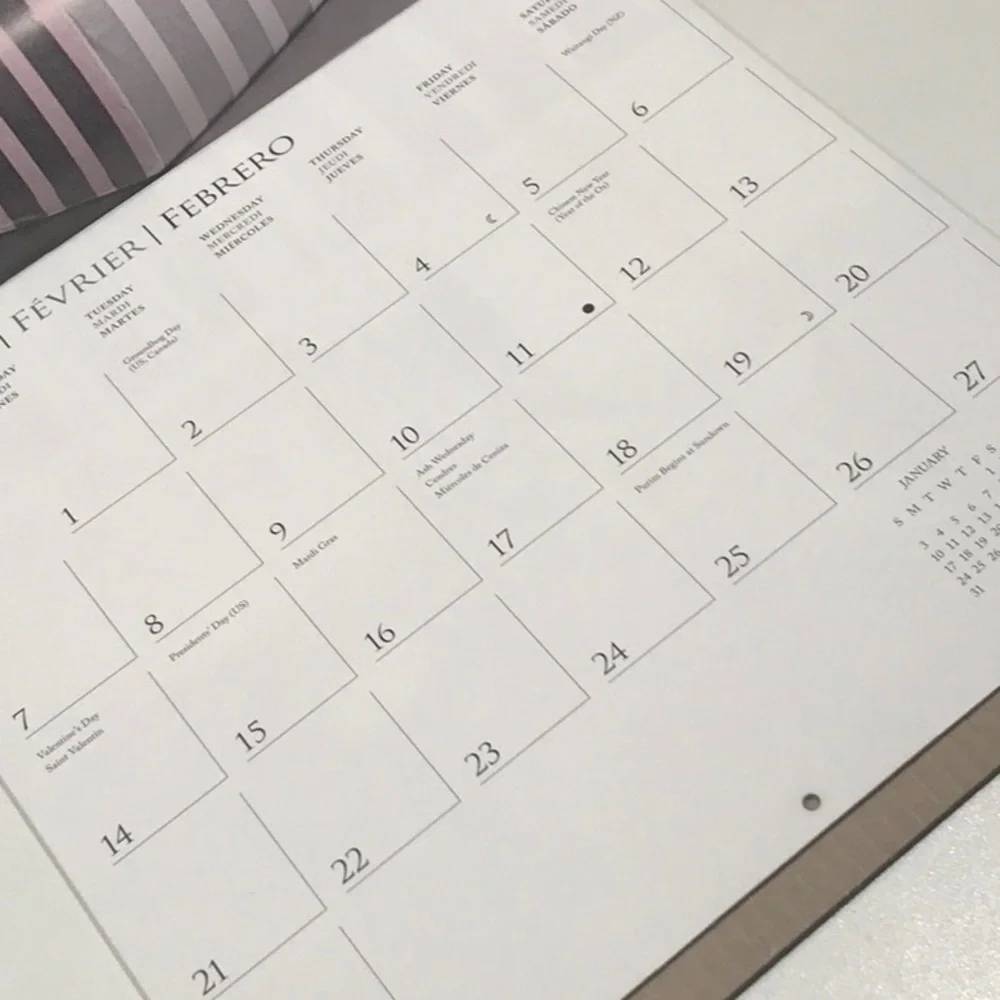 ☀️☀️New Classic Cats 2021 Calendar